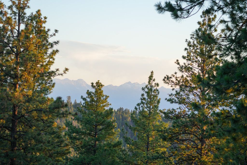 Bitterroot Highlands at Willow Creek - NHN Willow Creek Rd, Corvallis, MT 59828 photo 37
