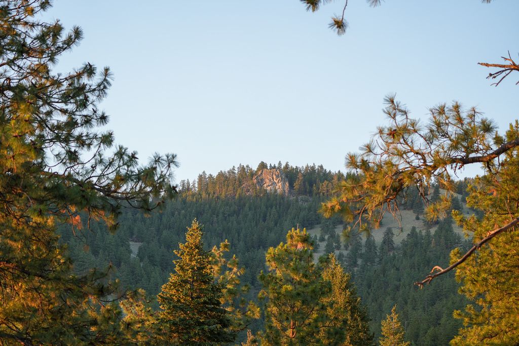Bitterroot Highlands at Willow Creek - NHN Willow Creek Rd, Corvallis, MT 59828 photo 39
