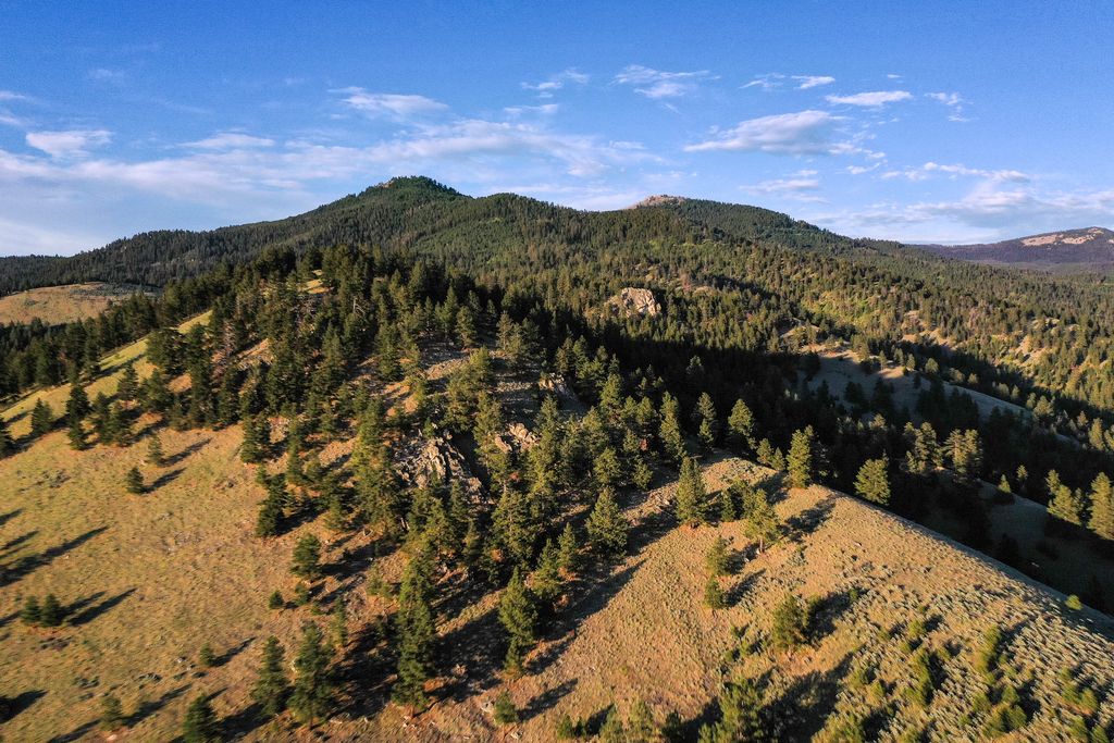 Bitterroot Highlands at Willow Creek - NHN Willow Creek Rd, Corvallis, MT 59828 photo 4
