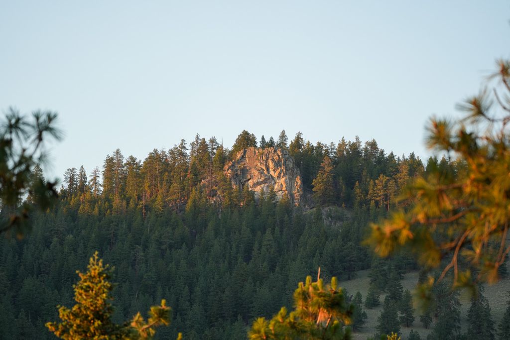 Bitterroot Highlands at Willow Creek - NHN Willow Creek Rd, Corvallis, MT 59828 photo 40