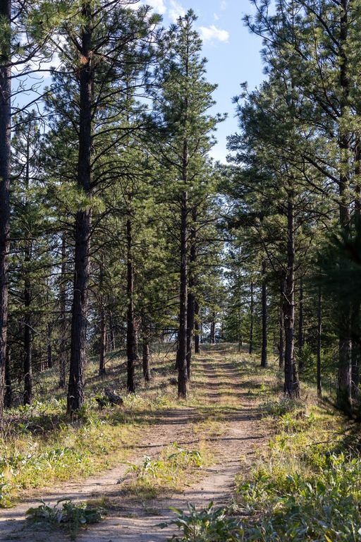 Bitterroot Highlands at Willow Creek - NHN Willow Creek Rd, Corvallis, MT 59828 photo 43