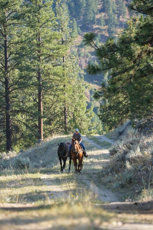 Bitterroot Highlands at Willow Creek - NHN Willow Creek Rd, Corvallis, MT 59828 photo 44