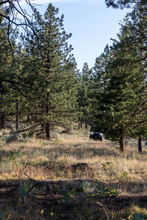 Bitterroot Highlands at Willow Creek - NHN Willow Creek Rd, Corvallis, MT 59828 photo 47
