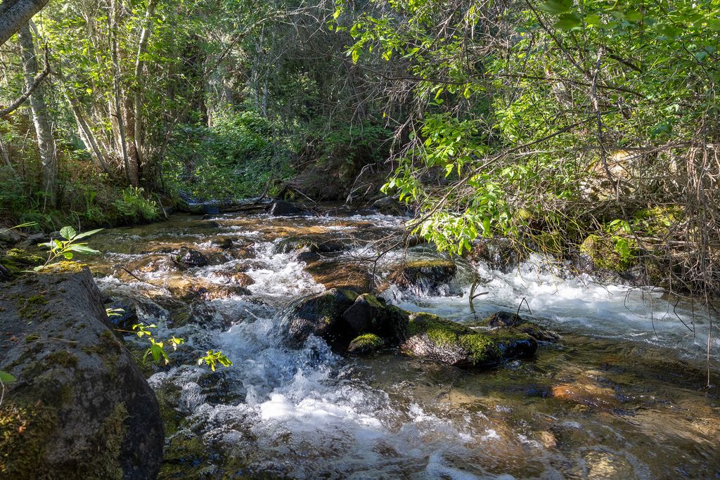 Bitterroot Highlands at Willow Creek - NHN Willow Creek Rd, Corvallis, MT 59828 photo 54