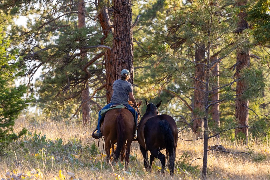 Bitterroot Highlands at Willow Creek - NHN Willow Creek Rd, Corvallis, MT 59828 photo 55
