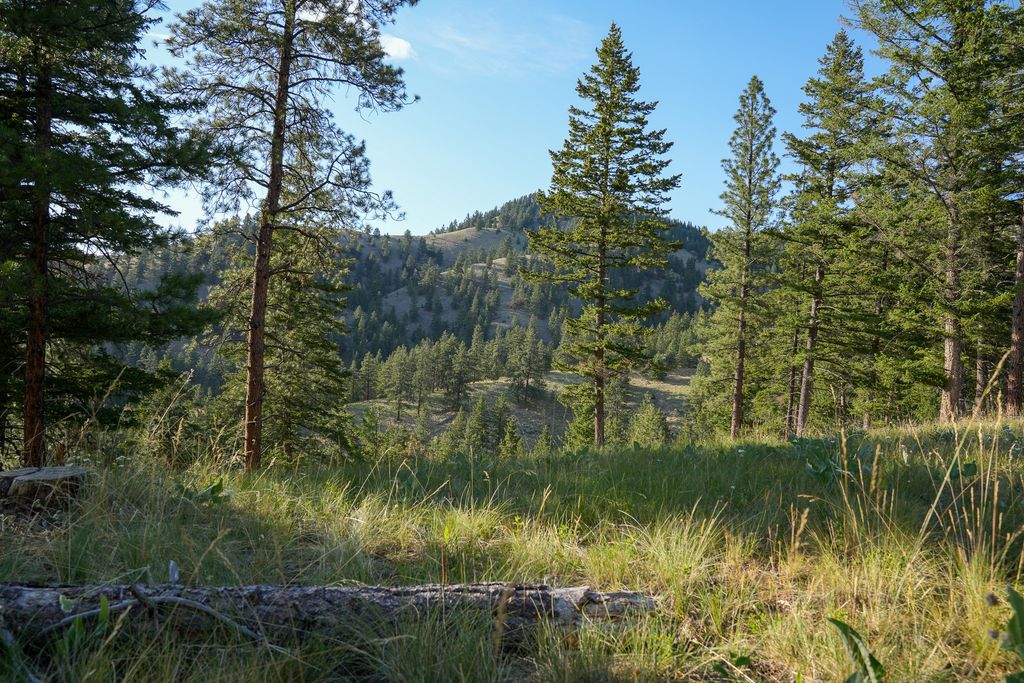 Bitterroot Highlands at Willow Creek - NHN Willow Creek Rd, Corvallis, MT 59828 photo 7