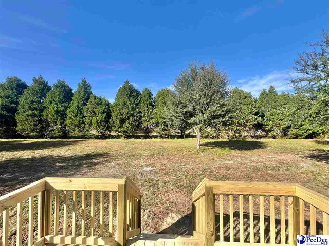 2004 Warren's Loop, Marion, SC 29571
