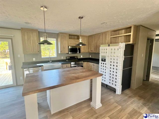 2004 Warren's Loop, Marion, SC 29571