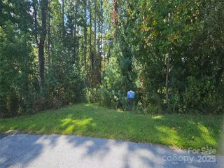 00 Bearwallow Mountain Drive 191, Hendersonville, NC 28792