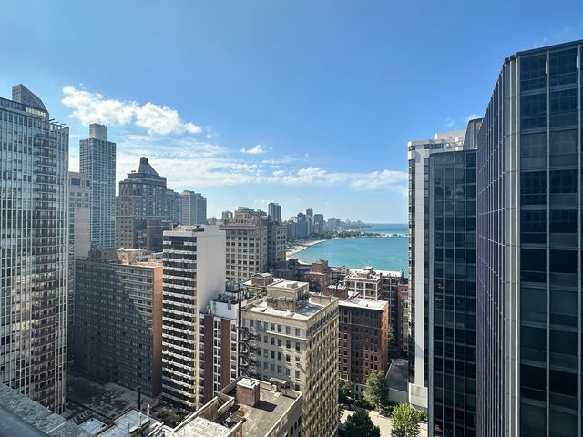 253 E DELAWARE Place 15E, Chicago, IL 60611
