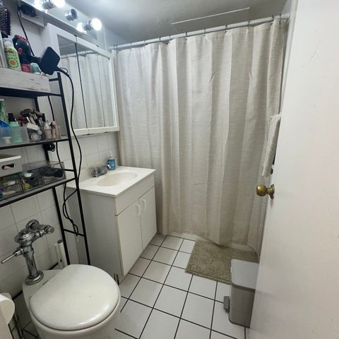 253 E DELAWARE Place 15E, Chicago, IL 60611