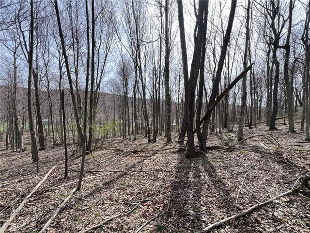 222 Hopwood Coolspring Rd, North Union Twp, PA 15445