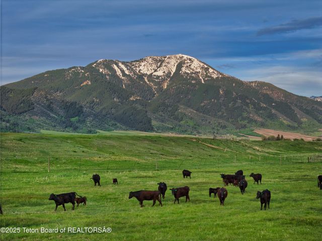 536 RANGER STATION Road, Swan Valley, ID 83449