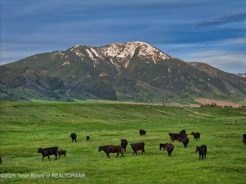 536 RANGER STATION Road, Swan Valley, ID 83449