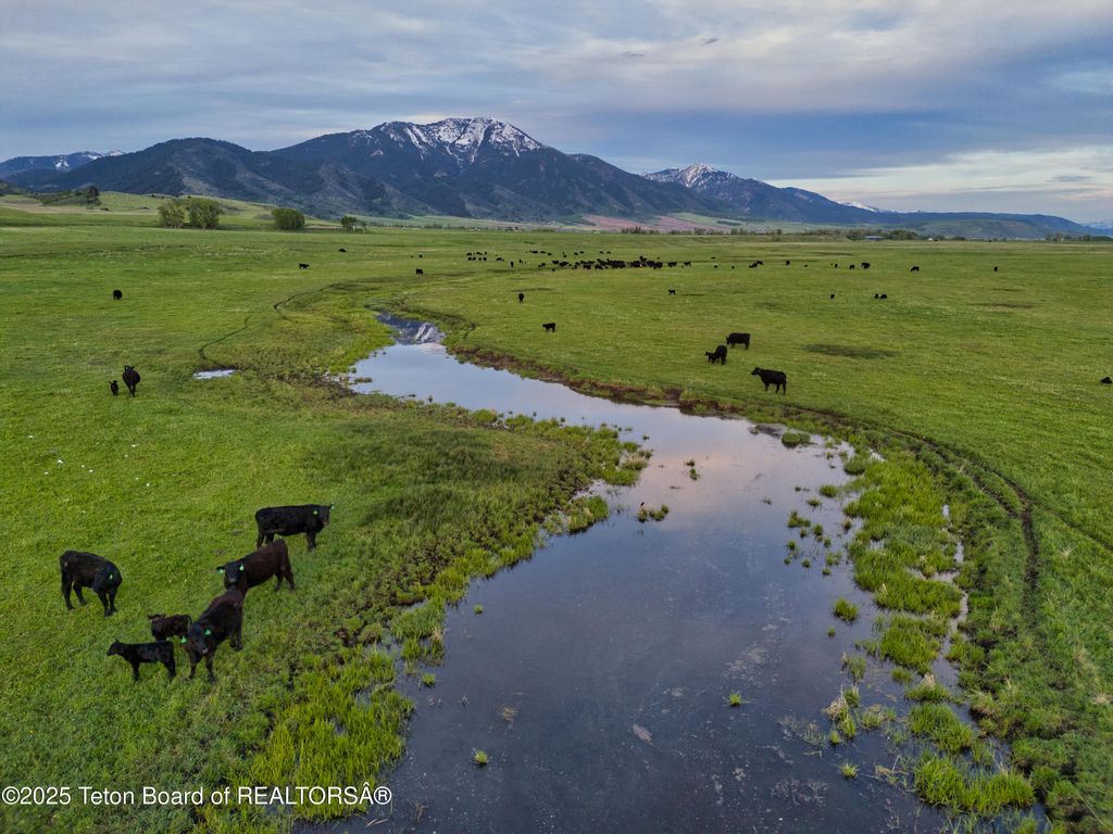 536 RANGER STATION Road, Swan Valley, ID 83449 photo 10