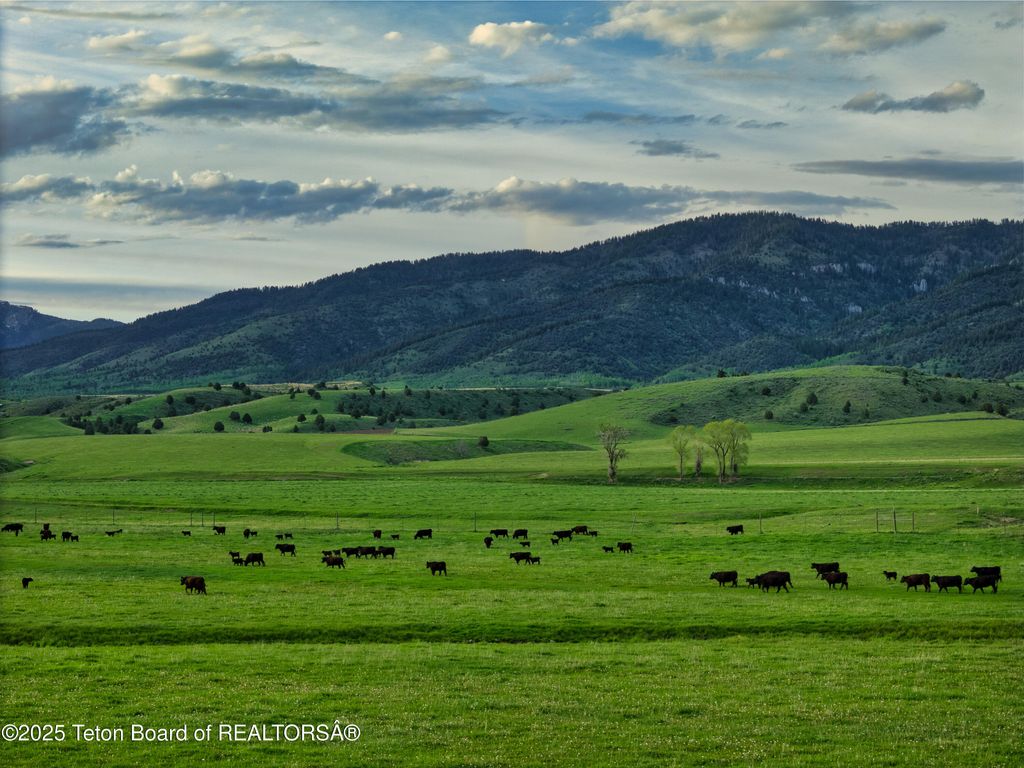 536 RANGER STATION Road, Swan Valley, ID 83449 photo 2