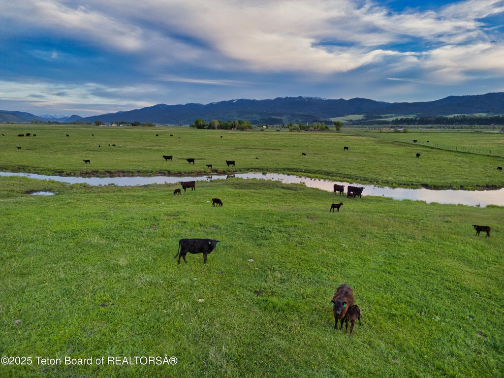 536 RANGER STATION Road, Swan Valley, ID 83449 photo 9