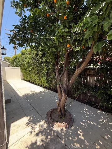 6248 Tujunga Avenue, North Hollywood, CA 91606