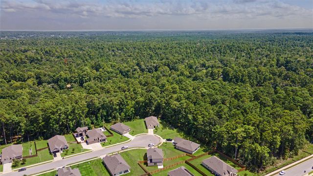 3721 Youpon Lane, Huntsville, TX 77340