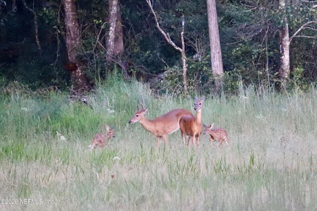 15779 MOHAWK Street, Glen St. Mary, FL 32040