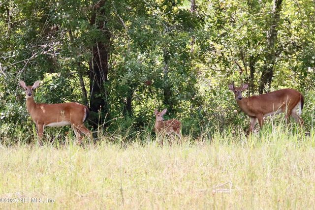 15779 MOHAWK Street, Glen St. Mary, FL 32040