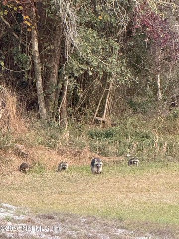 15779 MOHAWK Street, Glen St. Mary, FL 32040