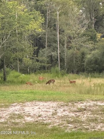 15779 MOHAWK Street, Glen St. Mary, FL 32040