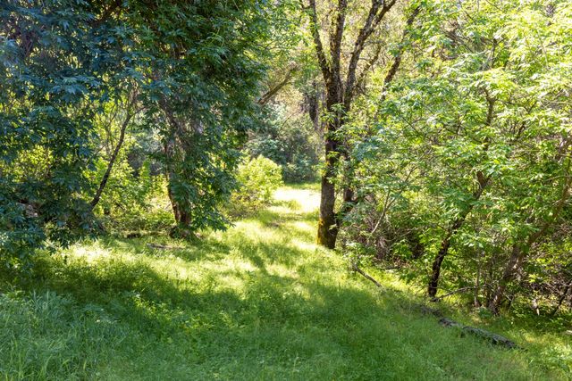 7220 Grizzly Flat Rd, Somerset, CA 95684