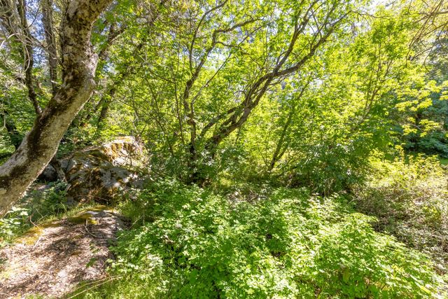 7220 Grizzly Flat Rd, Somerset, CA 95684