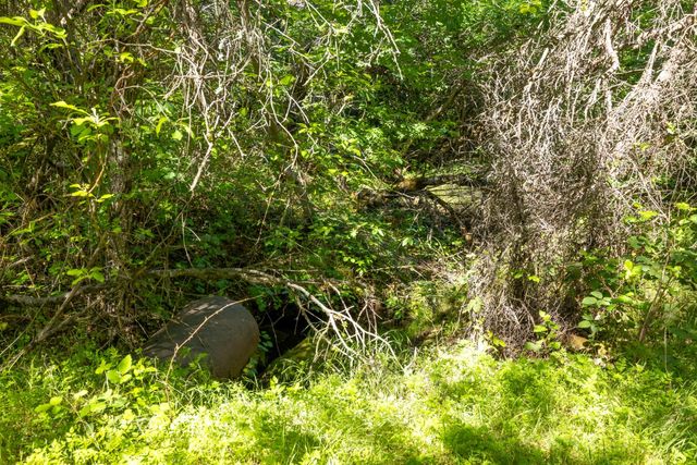 7220 Grizzly Flat Rd, Somerset, CA 95684
