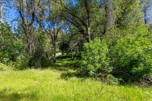 7220 Grizzly Flat Rd, Somerset, CA 95684