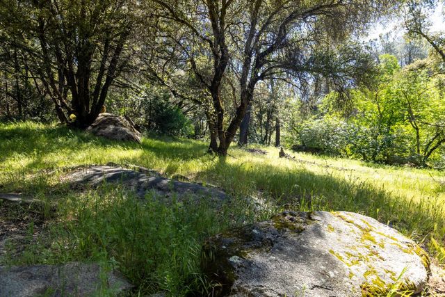 7220 Grizzly Flat Rd, Somerset, CA 95684