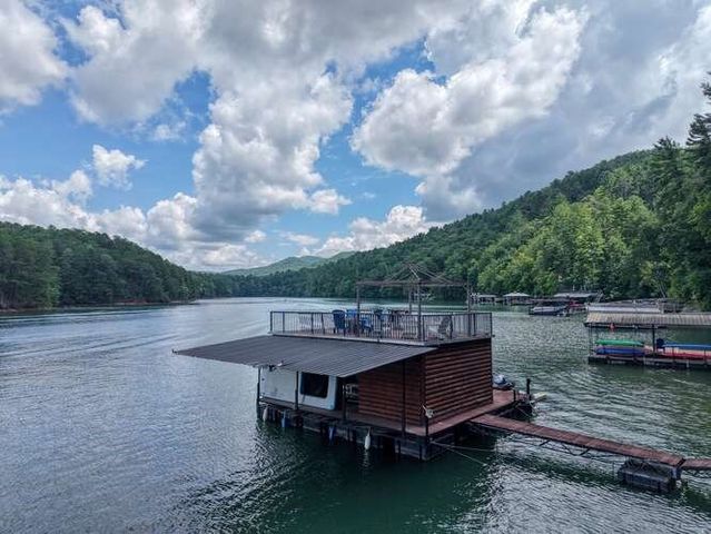 514 Browns Cove Road, Blue Ridge, GA 30512