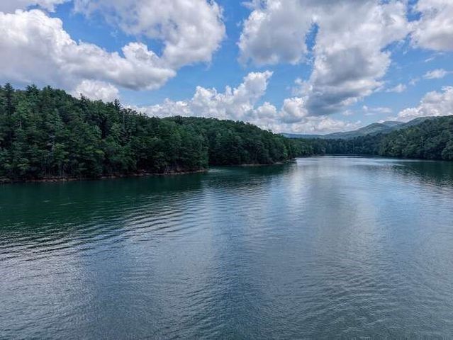 514 Browns Cove Road, Blue Ridge, GA 30512