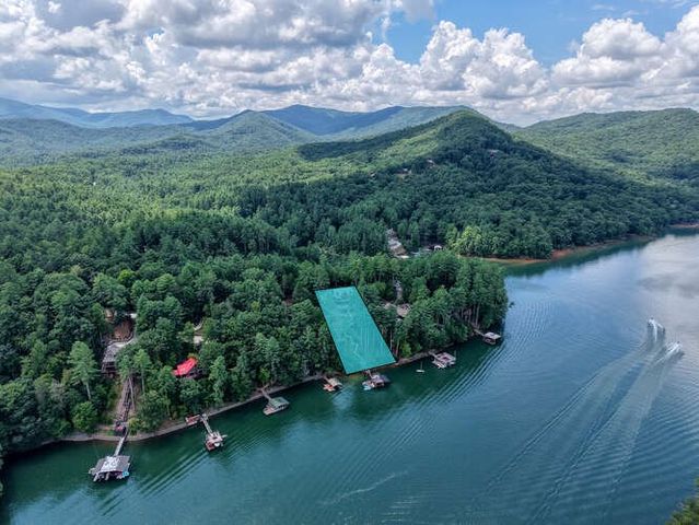 514 Browns Cove Road, Blue Ridge, GA 30512