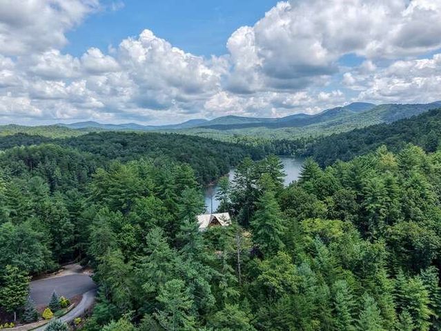 514 Browns Cove Road, Blue Ridge, GA 30512
