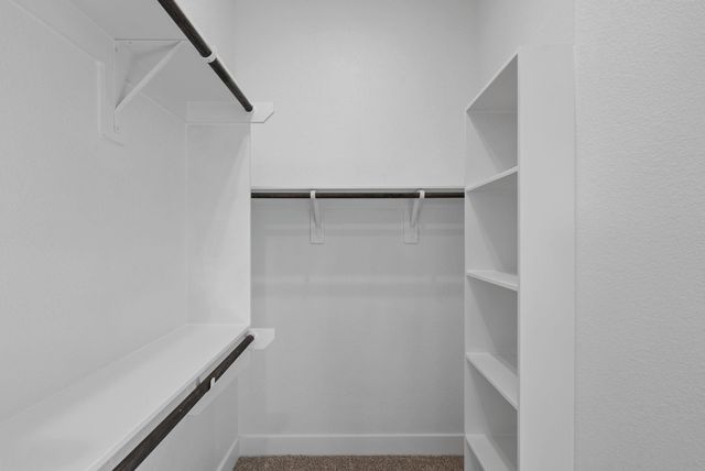 333 Gambels Quail Road, Waller, TX 77447