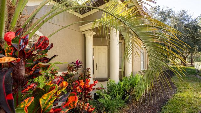 25921 SAN RAFAEL COURT, Howey In The Hills, FL 34737