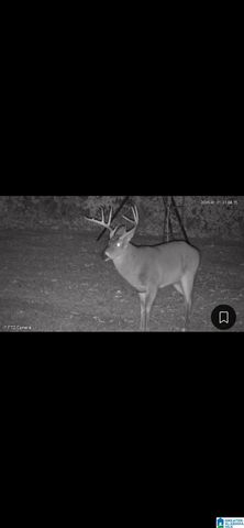 187 NICKLAUS DRIVE, Childersburg, AL 35044