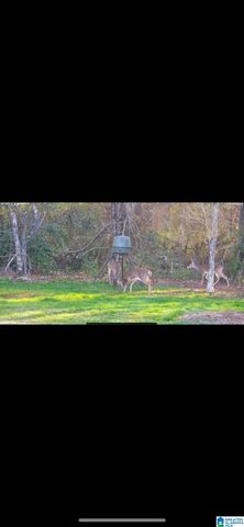 187 NICKLAUS DRIVE, Childersburg, AL 35044