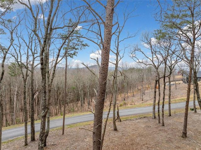 Lot 20 High Summit Drive, Talking Rock, GA 30175