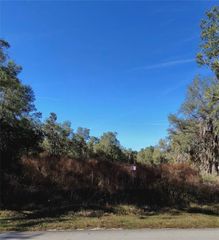 153 GORDON CHAPEL ROAD, Hawthorne, FL 32640