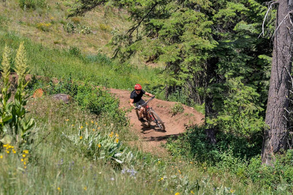 433 Sugarloaf Place, Donnelly, ID 83615 photo 49