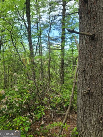 B Shake Hollow, Rabun Gap, GA 30568