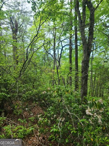 B Shake Hollow, Rabun Gap, GA 30568