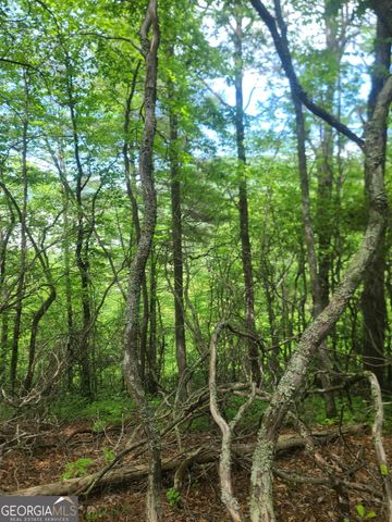 B Shake Hollow, Rabun Gap, GA 30568