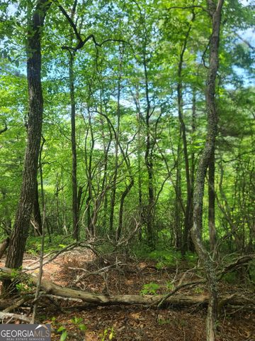 B Shake Hollow, Rabun Gap, GA 30568
