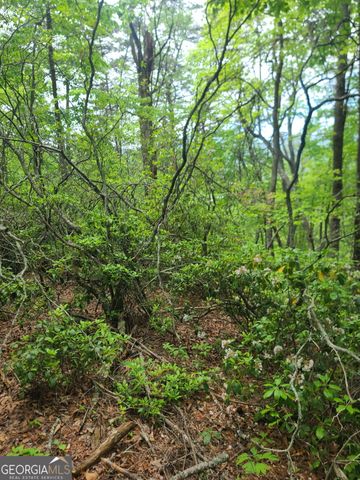 B Shake Hollow, Rabun Gap, GA 30568