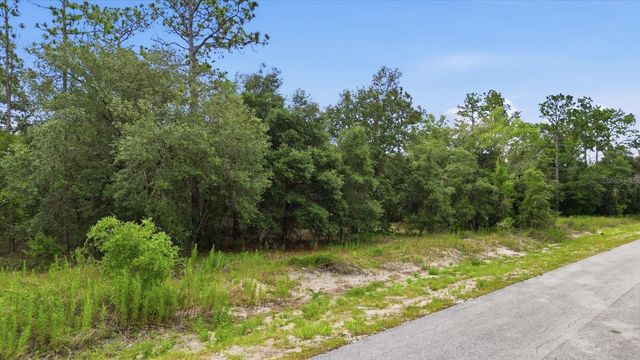 0000 SW SANDS PT AVE LOT 32, Dunnellon, FL 34431