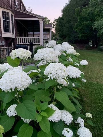 391 Dedham St, Newton, MA 02459